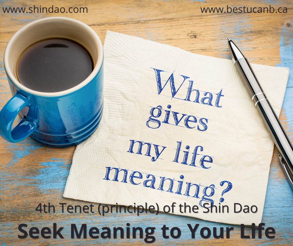 Seek Meaning to Your Life